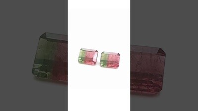 Pair of Tourmaline Bicolor 9,68 CT Rectangular 10.5X8.7