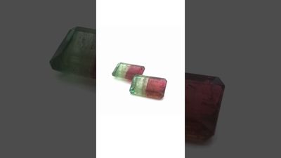 Pair of Tourmaline Bicolor 60,50 CT Rectangular 24x15