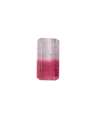 Tourmaline Bicolor 6,26 CT Rectangular 14.8x8