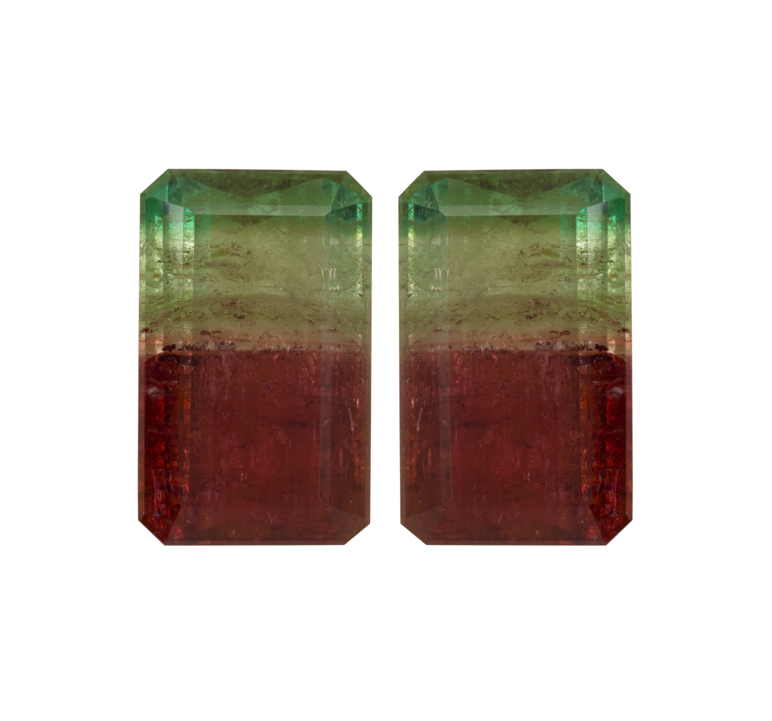 Pair of Tourmaline Bicolor 60,50 CT Rectangular 24x15