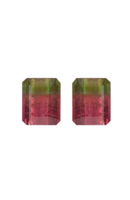 Pair of Tourmaline Bicolor Rectangular 12.5X10