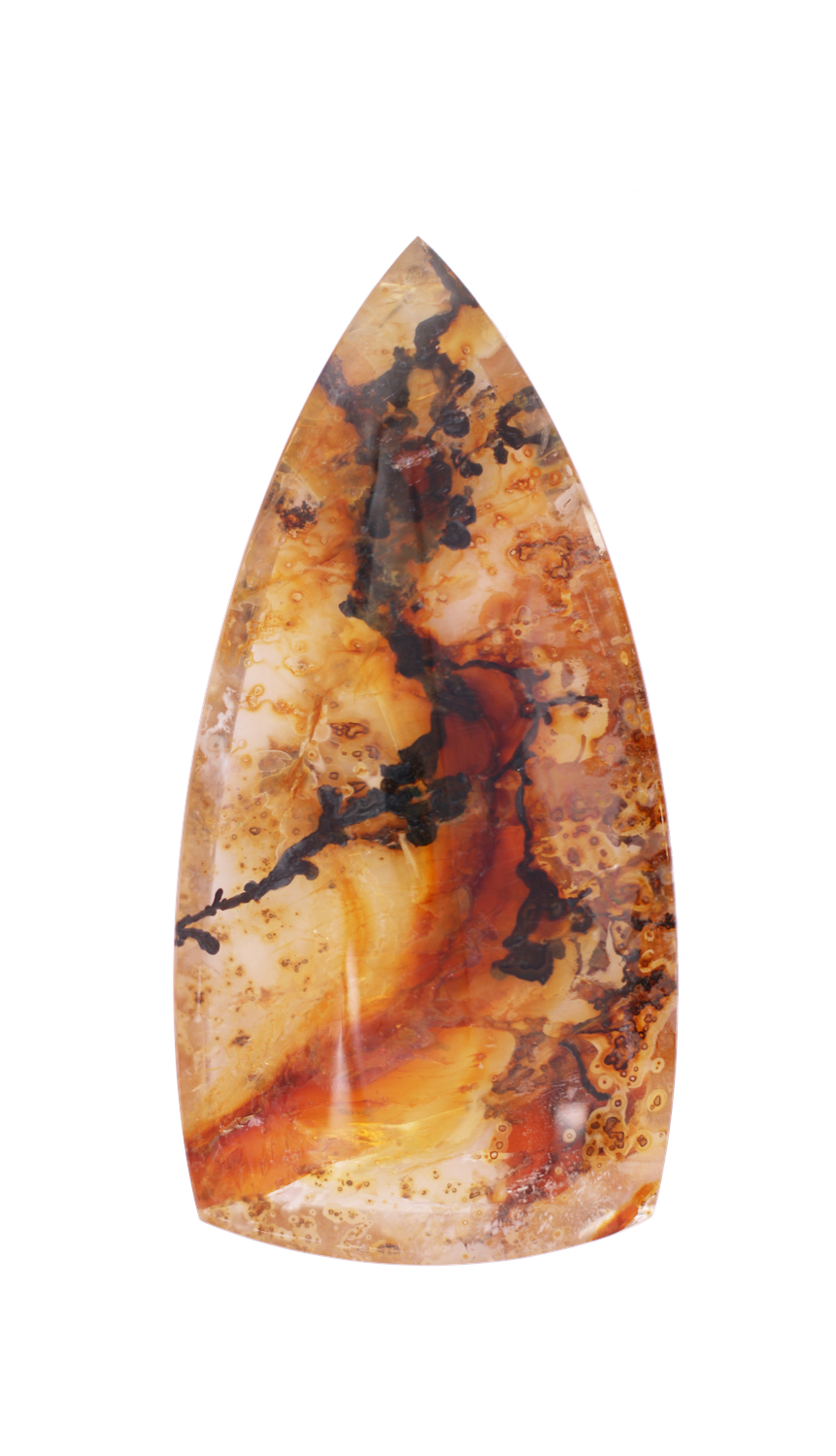 Dendrite 181,05 CT Trap 62x31