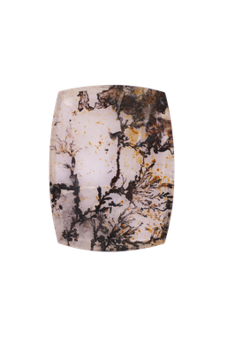 Dendrite 93 CT Cushion 38x29