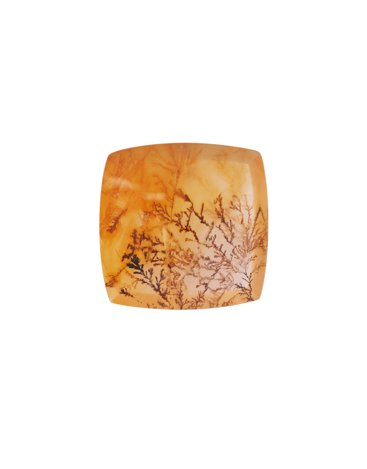 Dendrita 55,05 CT Cushion 27x27
