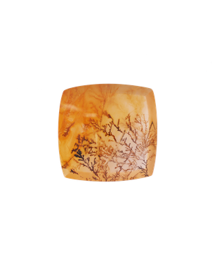 Dendrite 55,05 CT Cushion 27x27