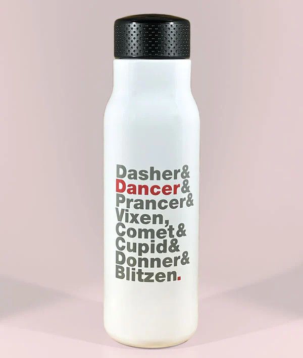 REINDEER NAMES STAINLESS STEEL BOTTLE