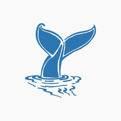 Marine Animals