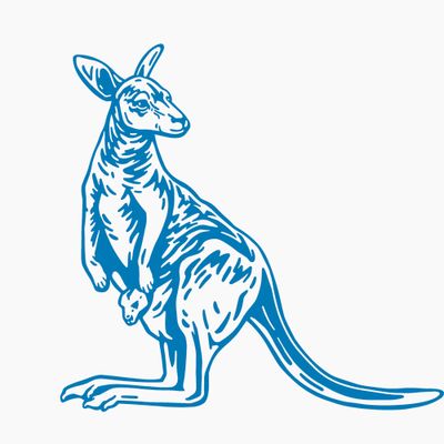 Australian Animals