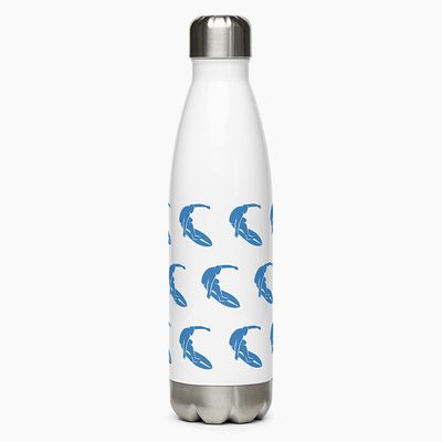 Stainless Steel Water Bottles