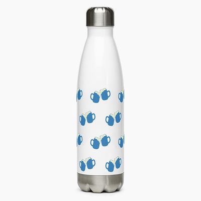 Stainless Steel Water Bottles