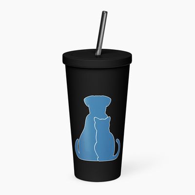 Insulated Tumblers with Straw