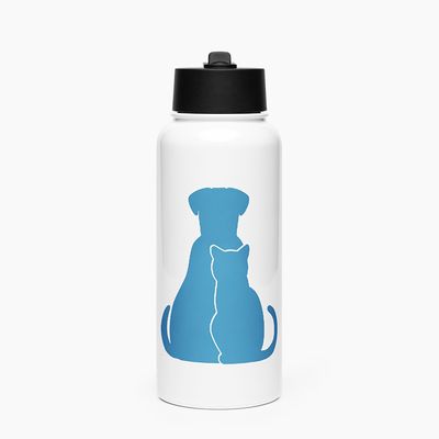 Stainless Steel Water Bottle with Straw Lid