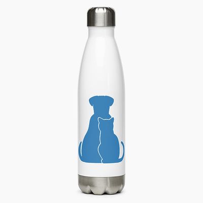 Stainless Steel Water Bottles