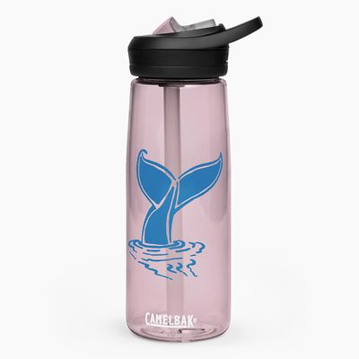 Sports Water Bottles