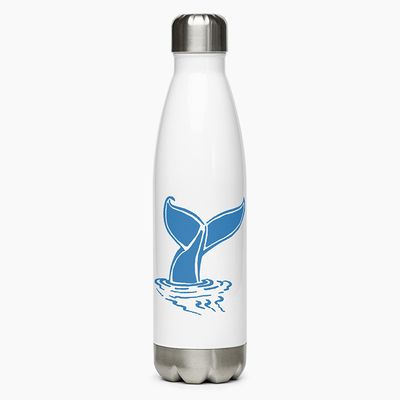 Stainless Steel Water Bottles