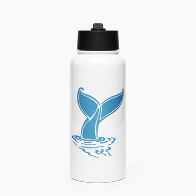 Stainless Steel Water Bottle with Straw Lid