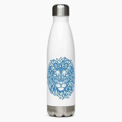 Stainless Steel Water Bottles