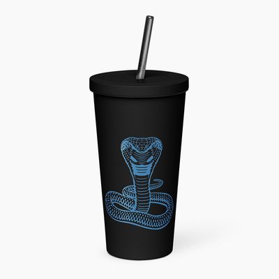 Insulated Tumblers with Straw