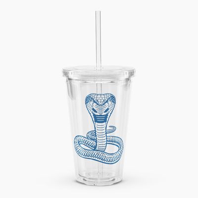 Clear Plastic Tumblers