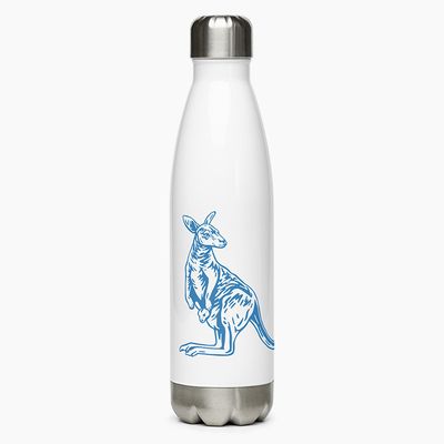 Stainless Steel Water Bottles