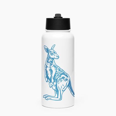 Stainless Steel Water Bottle with Straw Lid