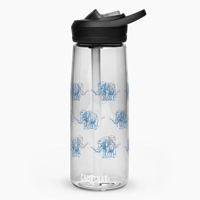 Sports Water Bottles
