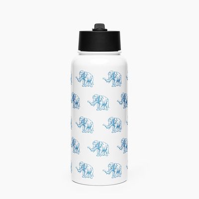 Stainless Steel Water Bottle with Straw Lid