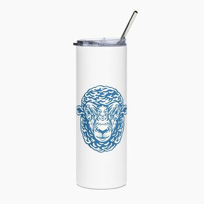 Stainless Steel Tumblers