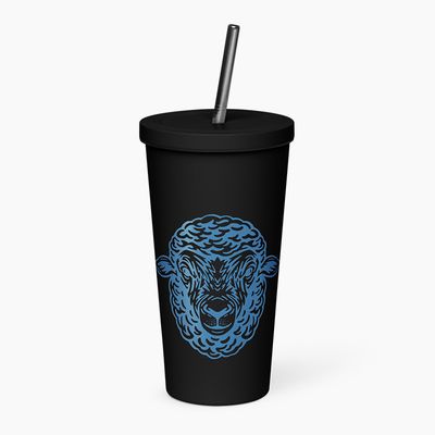 Insulated Tumblers with Straw