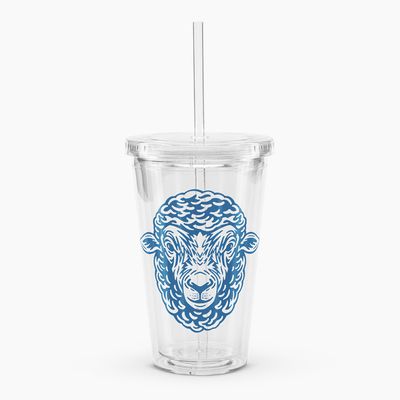 Clear Plastic Tumblers