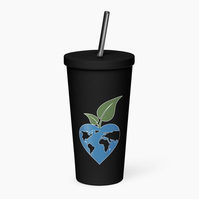 Insulated Tumblers with Straw