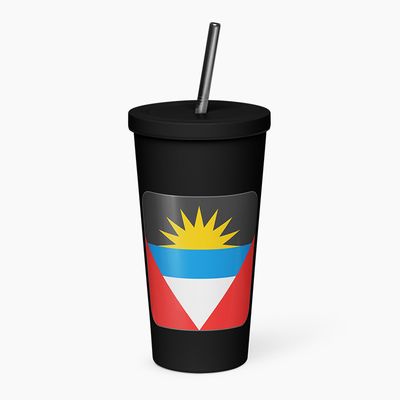 Insulated Tumblers with Straw