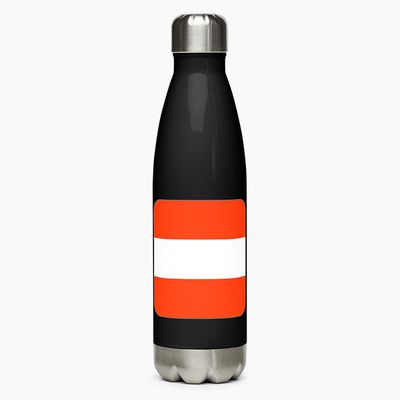 Stainless Steel Water Bottles