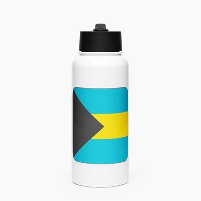 Stainless Steel Water Bottle with Straw Lid