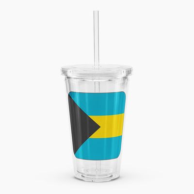 Clear Plastic Tumblers