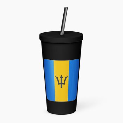 Insulated Tumblers with Straw
