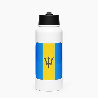 Stainless Steel Water Bottle with Straw Lid