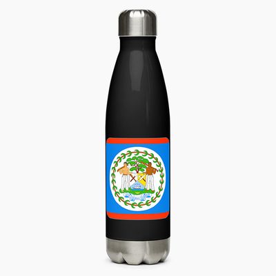 Stainless Steel Water Bottles