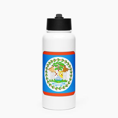 Stainless Steel Water Bottle with Straw Lid