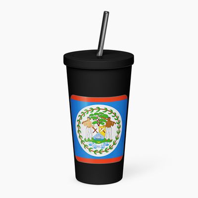 Insulated Tumblers with Straw