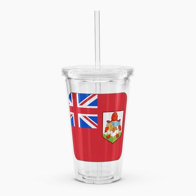 Clear Plastic Tumblers