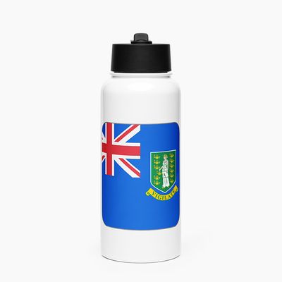 Stainless Steel Water Bottle with Straw Lid