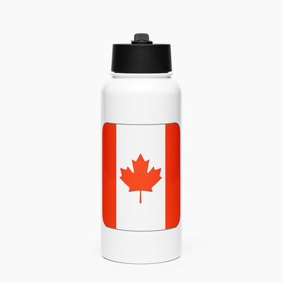 Stainless Steel Water Bottle with Straw Lid