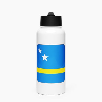 Stainless Steel Water Bottle with Straw Lid