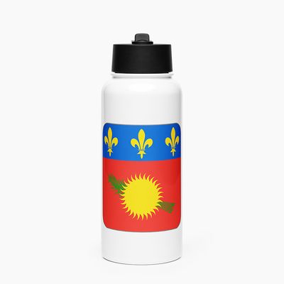 Stainless Steel Water Bottle with Straw Lid