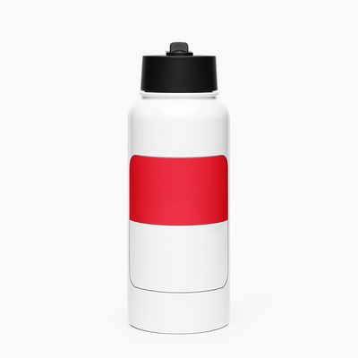 Stainless Steel Water Bottle with Straw Lid