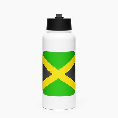 Stainless Steel Water Bottle with Straw Lid