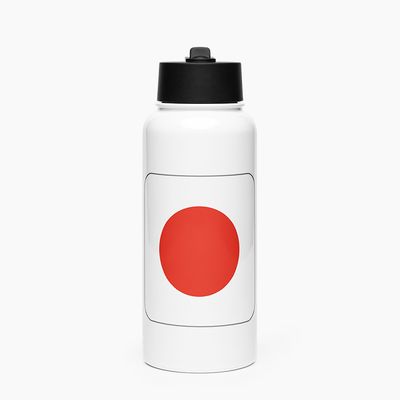 Stainless Steel Water Bottle with Straw Lid