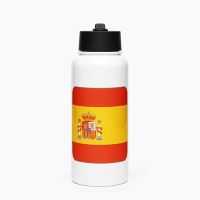 Stainless Steel Water Bottle with Straw Lid
