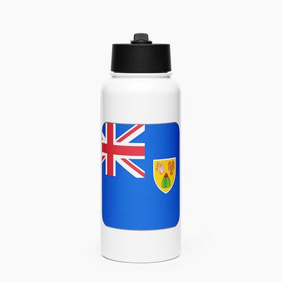 Stainless Steel Water Bottle with Straw Lid